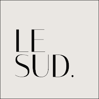 Logo d'Agence Le Sud - Création de site internet - Community manager
