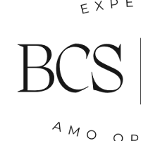 Logo de Bai Conseils Solutions
