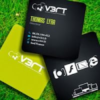 Logo de Vert