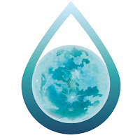 Logo de BlueMoon Créations