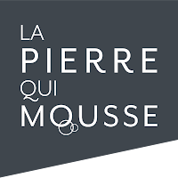 Logo de la Pierre qui mousse