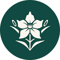 Logo d'Odin Studio