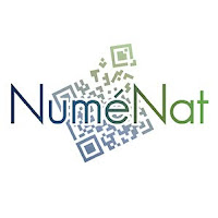 Logo de Numenat