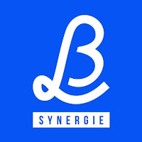 Logo de L&B SYNERGIE