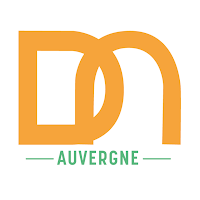 Logo d'InfoRéso - Informatique et Communication - Saint-Rémy-sur-Durolle (Puy-de-Dôme)