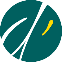 Logo de Data-Major