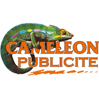 Logo de Caméléon SARL
