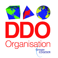 Logo de DDO Organisation
