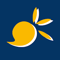 Logo de Studio Lupi Graphiste