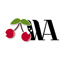 Logo de Rebecca Drukier ( Web ambitieuse )