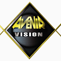 Logo d'Avenir Vision