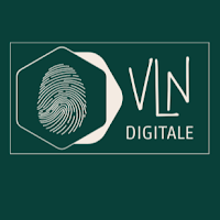 Logo de VLN Digitale