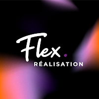 Logo de Flex Réalisation - Agence communication Orléans