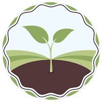 Logo du bazar d’akiré