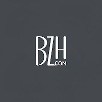 Logo de bzh com