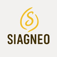Logo de Siagneo