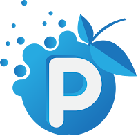 Logo de PappleWeb Thônes | Agence SEO et SEA | Création de Sites