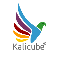 Logo de Kalicube (Head Office)