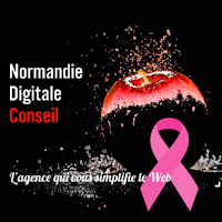 Logo de Normandie Digitale Conseil