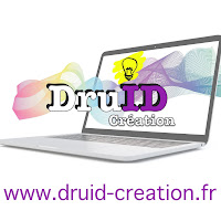 Logo de Druid Création - agence web