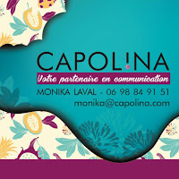 Logo de Graphiste & webdesigner freelance CAPOLINA