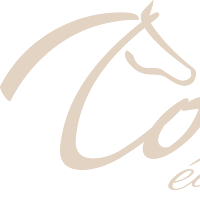 Logo de Com'équestre : agence de marketing digital