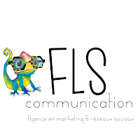 Logo de Fabienne Sicard Fls Communication Sur Rendez-Vous
