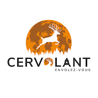 Logo de CERVOLANT Communication