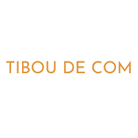 Logo de Tibou de Com | Création de site internet (webmaster) et community management à Pau