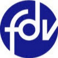Logo de FDV Conseil | Agence Web Design