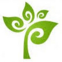 Logo d'Ora Conseils - Prestations & Formation Seo