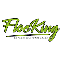 Logo de FlocKing