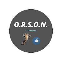 Logo d'ORSON Marketing Digital