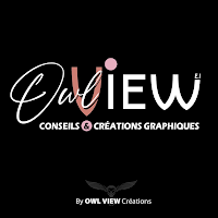 Logo d'OwlView Créations
