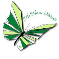 Logo de Ma Nature Virtuelle - sites web, référencement et community management