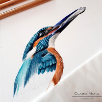 Logo de Claire Motz Illustration