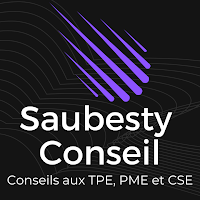 Logo de Saubesty Conseil